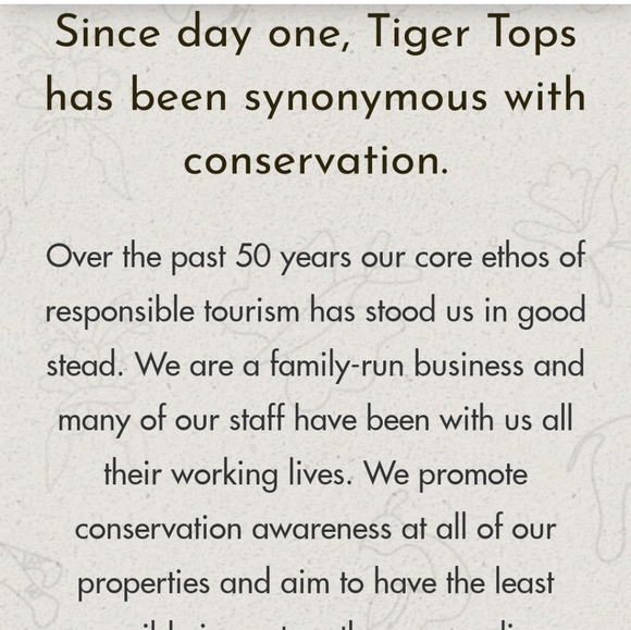 NWOT Tiger Tops Jungle Lodge Shirt Size S - Picture 7 of 7